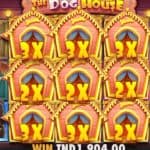 Keseruan Dunia Anjing Lucu Penuh Hadiah Dari The Dog House