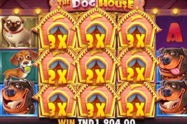 Keseruan Dunia Anjing Lucu Penuh Hadiah Dari The Dog House