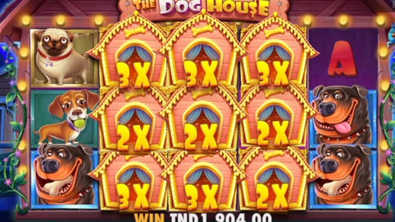 Keseruan Dunia Anjing Lucu Penuh Hadiah Dari The Dog House